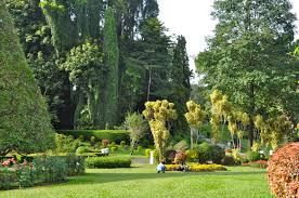 Royal Botanic Gardens-Peradeniya