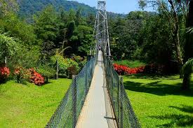 Royal Botanic Gardens-Peradeniya