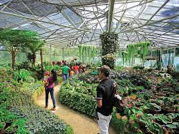 Haggala Botanical Gardens