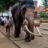 Temple of the Sacred Tooth Relic -Kandy