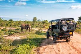 Taxi from Bentota to Udawalawe National Park