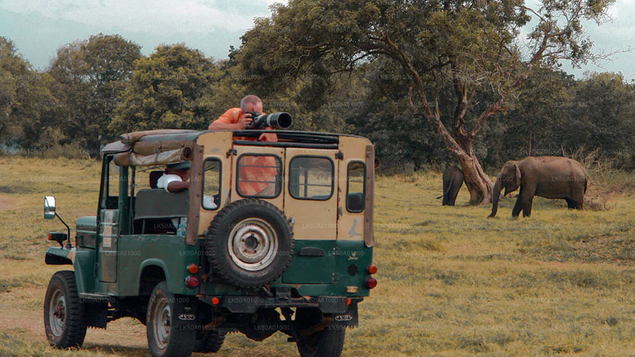 Taxi from Bentota to Udawalawe National Park