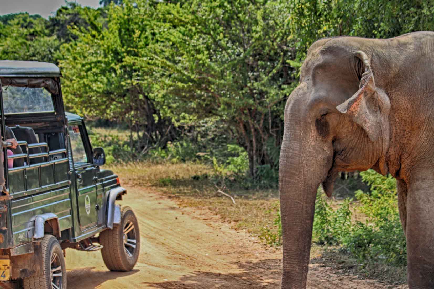 Transfer between Colombo Airport (CMB)  to Yala 