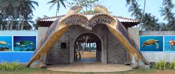 Kosgoda Turtle Hatchery