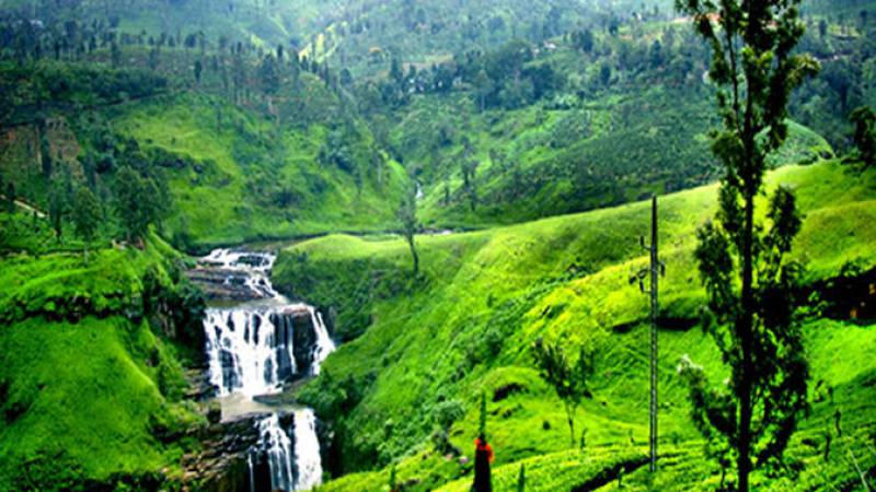 Nuwara Eliya Taxi Cab Service