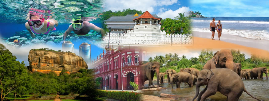 Sri Lanka Tour Packages