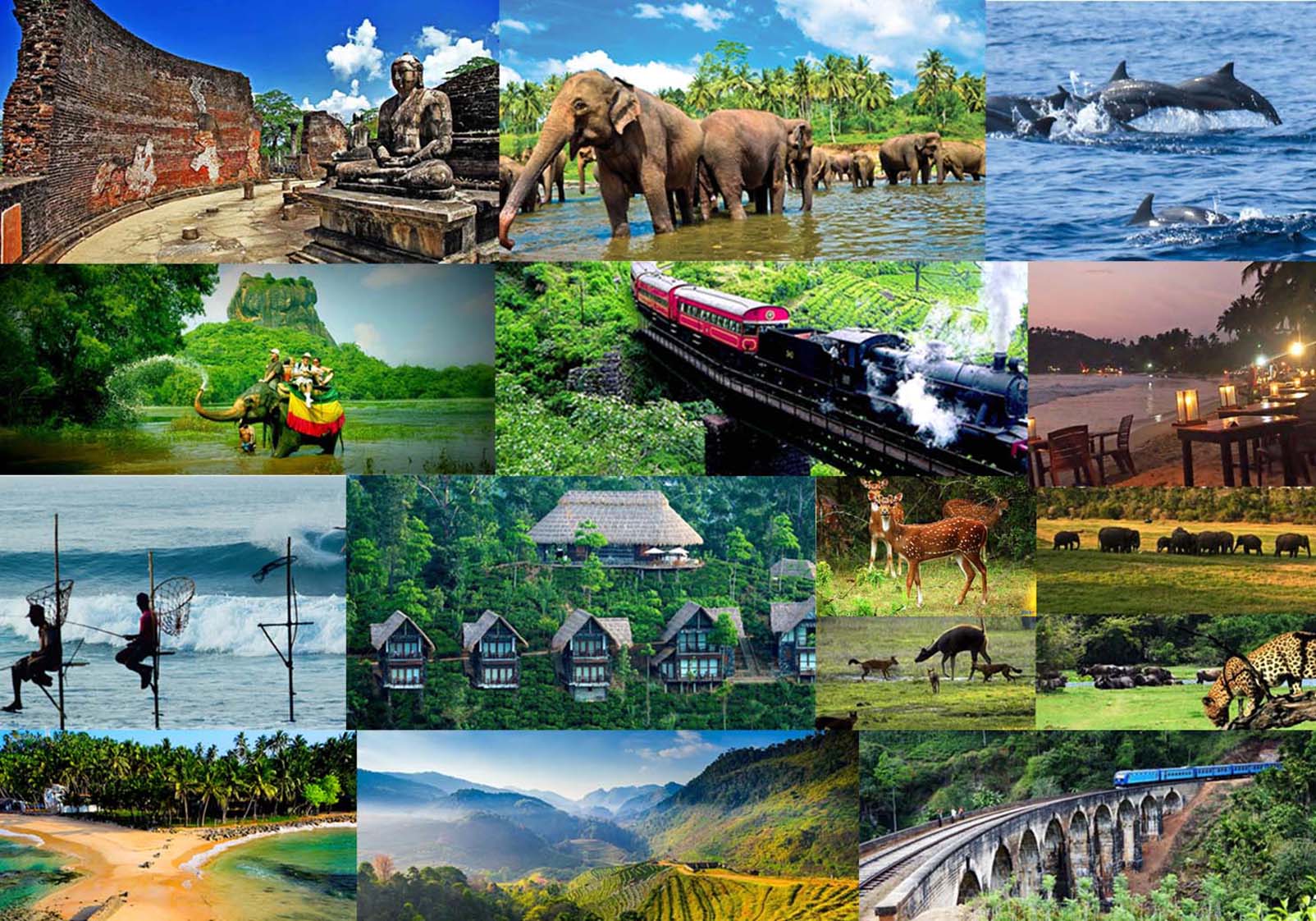 Discover Sri Lanka